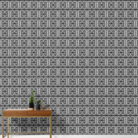 Zwart-witte trap klein
