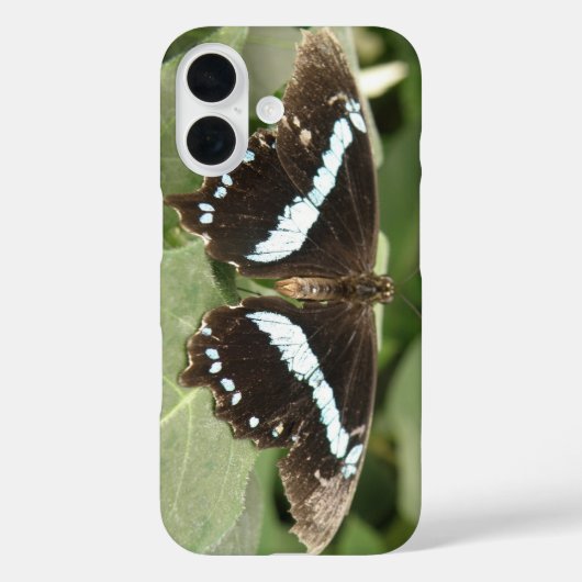 Zwart-witte tropische vlinder iPhone draagtas Case-Mate iPhone Case (Achterkant)