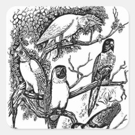 Zwart witte tropische vogels vintage sticker