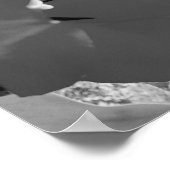 Zwart-witte tulp poster (Hoek)