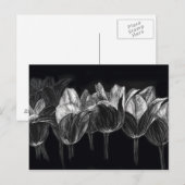 Zwart Witte Tulp Tuin Bloem Krasbord Art Briefkaart (Voorkant / Achterkant)