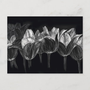 Zwart Witte Tulp Tuin Bloem Krasbord Art Briefkaart