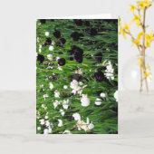 Zwart-witte tulp wenskaart kaart (Gele Bloem)
