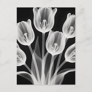 Zwart-witte tulpen Elegante monochroom Briefkaart