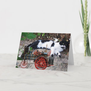 ZWART-WITTE TURKSE KAT PIERO KAART