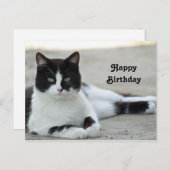 Zwart-witte Tuxedo Foto Verjaardagscadeau Kat Briefkaart (Voorkant / Achterkant)