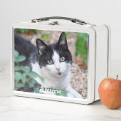 Zwart & Witte Tuxedo Kat Aangepaste Foto (In situ)