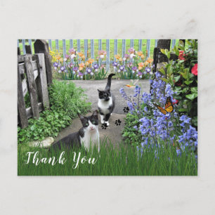 Zwart-witte Tuxedo-katten in de tuin Dank je Briefkaart