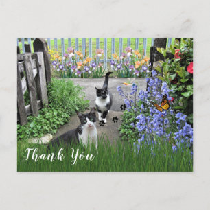 Zwart-witte Tuxedo Katten in tuin Dank u Briefkaart