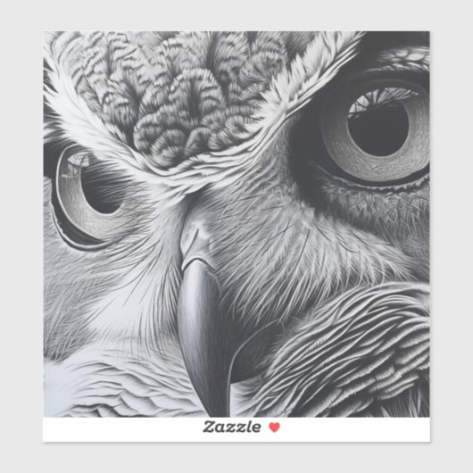Zwart-witte uil gezicht sticker (Vel)