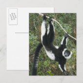 Zwart-witte vari briefkaart (Voorkant / Achterkant)