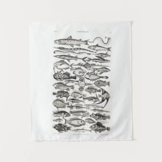  zwart-witte vis, oceaan, ichthyoloog wandkleed (Voorkant)