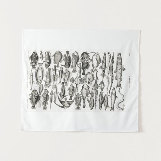  zwart-witte vis, oceaan, ichthyoloog wandkleed (Voorkant (horizontaal))