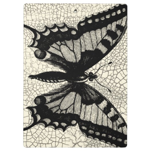 Zwart-witte vlinder op gekraakte achtergrond klembord (Achterkant)
