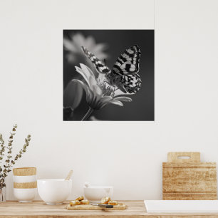 Zwart-Witte Vlinder Poster