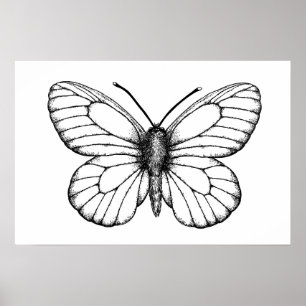 Zwart-witte vlinder poster