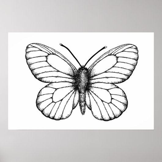 Zwart-witte vlinder poster (Voorkant)