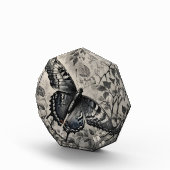 Zwart-witte vlinder tekening fotoblokken (Rechts)