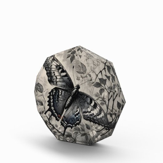 Zwart-witte vlinder tekening fotoblokken (Rechts)