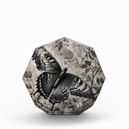 Zwart-witte vlinder tekening fotoblokken