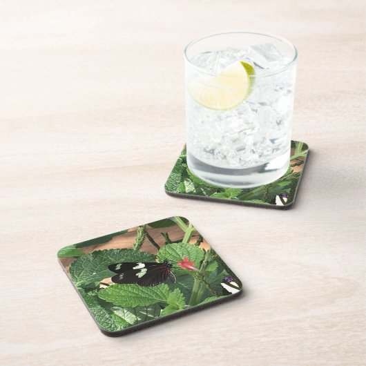 Zwart-witte vlinderschoonheid drankjes onderzetter (Rechterzijde)