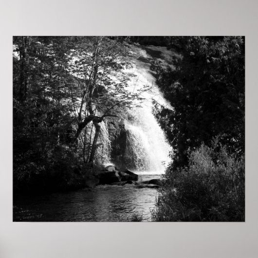 Zwart-witte waterval door de bomen 16x20 poster (Voorkant)
