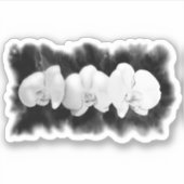 Zwart-witte waterverf orchideeën schilderen sticker (Voorkant)