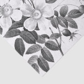 Zwart-witte, wilde Rozen ventilator Tissuepapier (Detail)