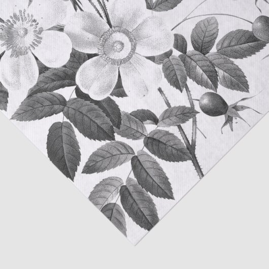 Zwart-witte, wilde Rozen ventilator Tissuepapier (Detail)