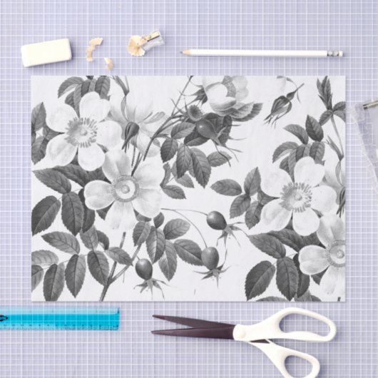 Zwart-witte, wilde Rozen ventilator Tissuepapier (Craft)