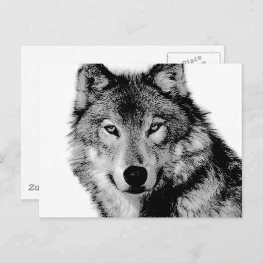 Zwart-witte wolf briefkaart (Voorkant / Achterkant)