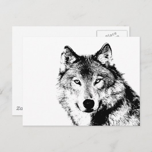 Zwart-witte wolf briefkaart (Voorkant / Achterkant)