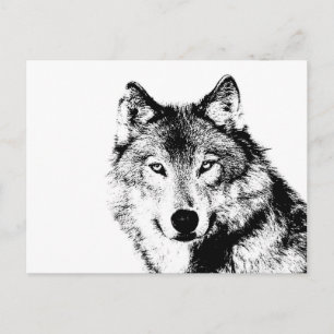 Zwart-witte wolf briefkaart