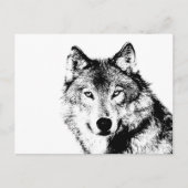 Zwart-witte wolf briefkaart (Voorkant)