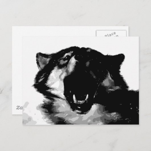 Zwart-witte wolf briefkaart (Voorkant / Achterkant)