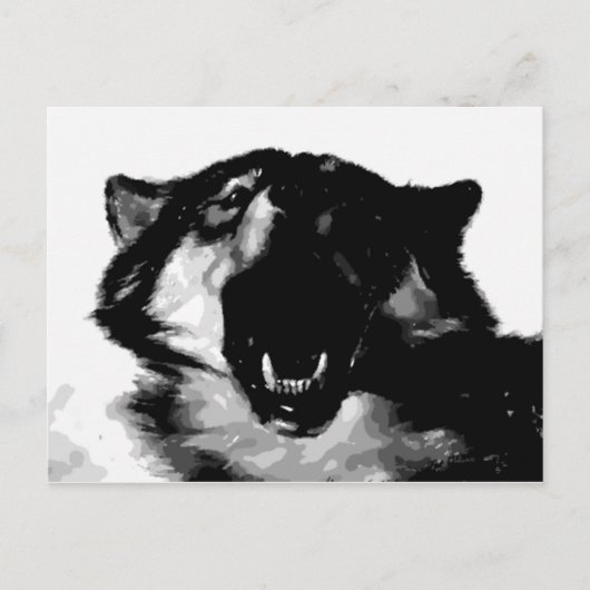 Zwart-witte wolf briefkaart (Voorkant)