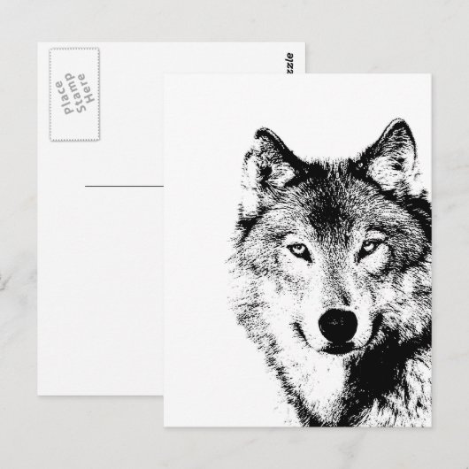 Zwart-witte wolf briefkaart (Voorkant / Achterkant)