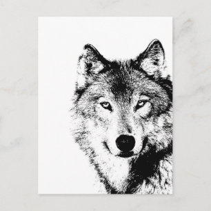 Zwart-witte wolf briefkaart