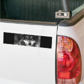 Zwart-witte wolf bumpersticker (Op Truck)