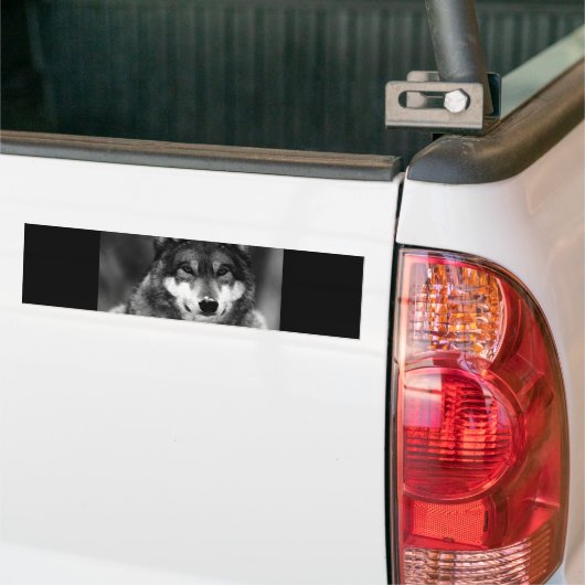 Zwart-witte wolf bumpersticker (Op Truck)