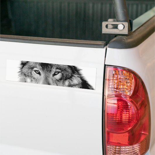Zwart-witte wolf bumpersticker (Op Truck)