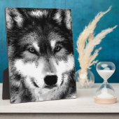 Zwart-witte wolf fotoplaat (Zijkant)