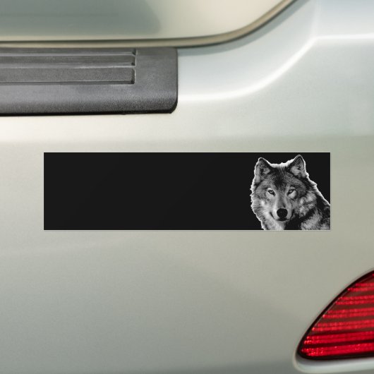 Zwart & Witte Wolf Kunstwerk Bumpersticker (Op auto)