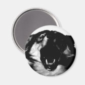 Zwart-witte wolf magneet (Voorkant / Achterkant)