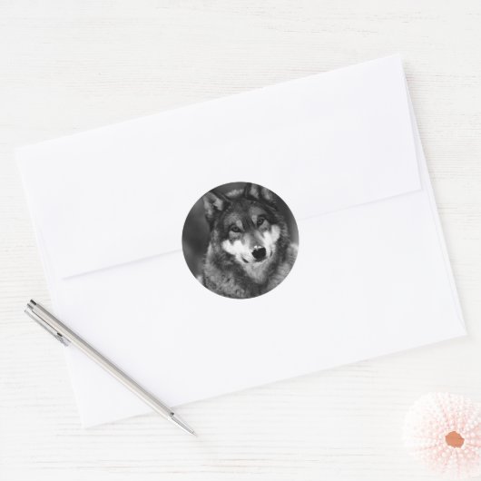 Zwart-witte wolf ronde sticker (Envelop)
