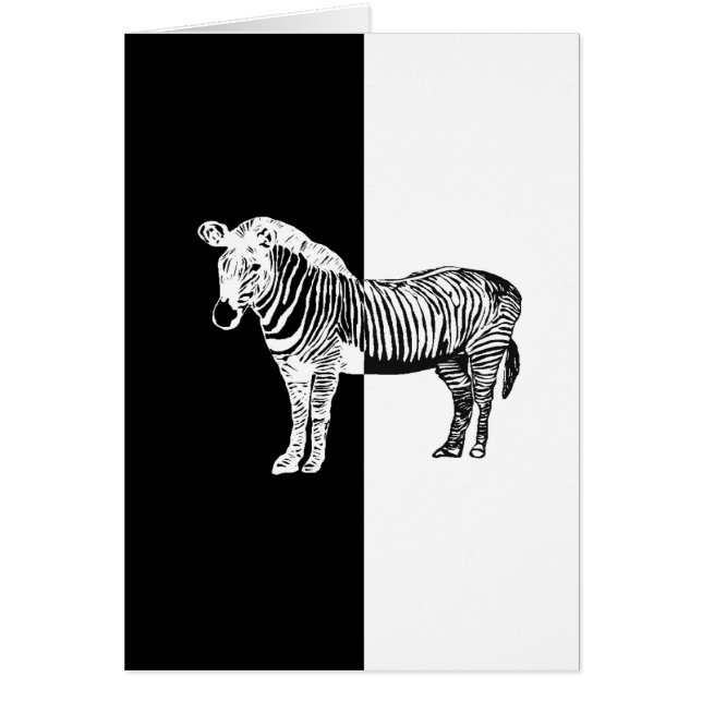 Zwart-witte zebra (Voorkant)