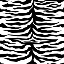 Zwart Witte Zebra strepen 