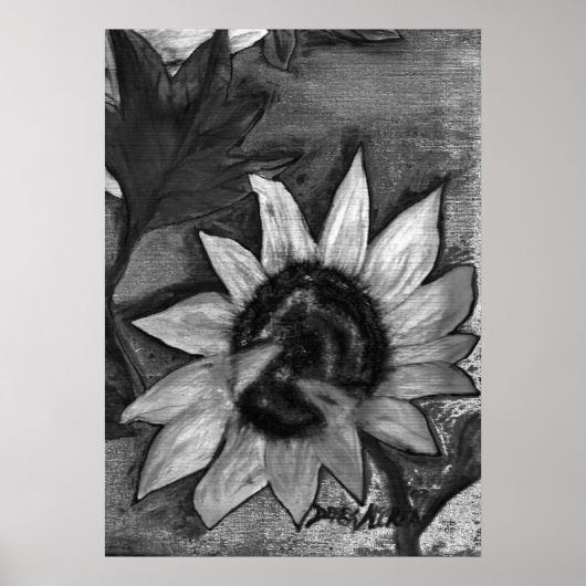 Zwart-witte zonnebloempjes modern poster (Voorkant)