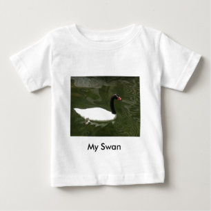 Zwart-witte zwaan