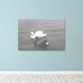 Zwart-witte zwaan op een meer canvas afdruk (Insitu (Houten vloer))